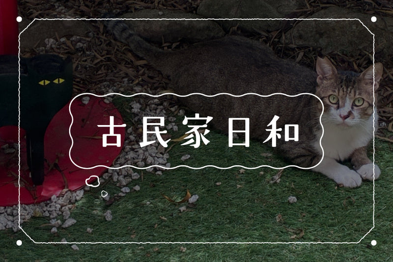 猫好きさんへのプレゼントにおすすめ。おしゃれでかわいいプチギフト5選