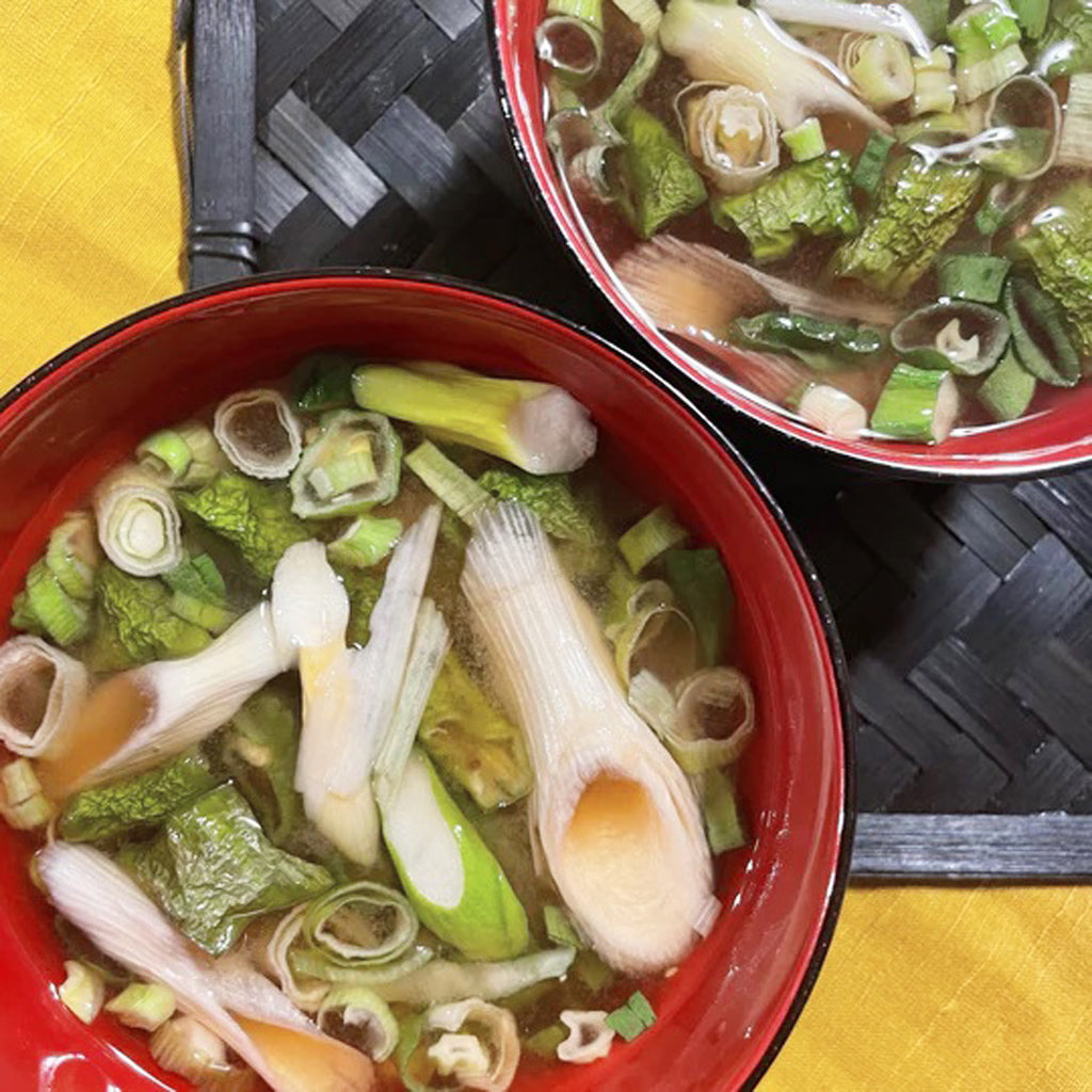 【お取り寄せ便】＜OYAOYA＞京都の美味しい乾燥野菜 10種セット