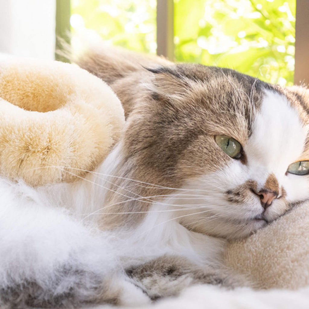 負けない猫」アンティークwaxベージュ額縁ご確認ページ